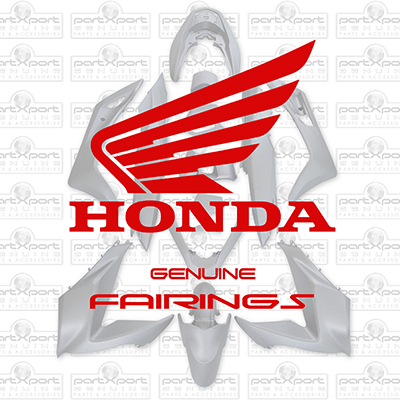 FAIRINGS & BODY PANELS